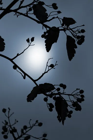 fotokurs-naturfotografie