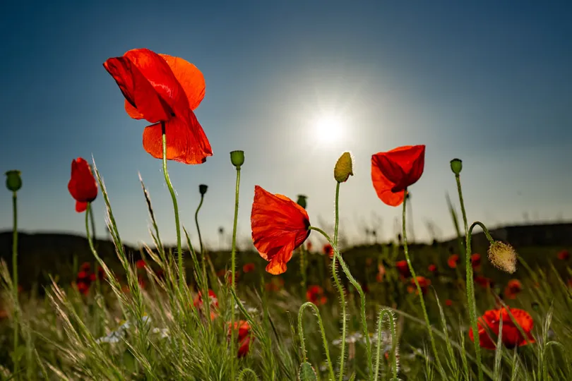 workshop-naturfotografie
